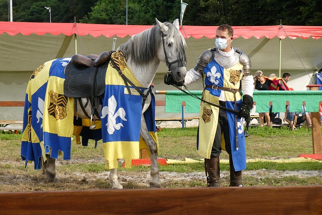 的比赛形态 的比赛形态