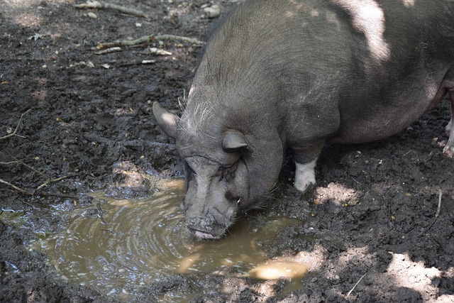 为了帮助周 为了帮助周
