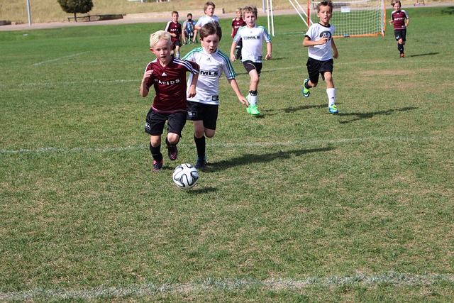 多次重要比 多次重要比