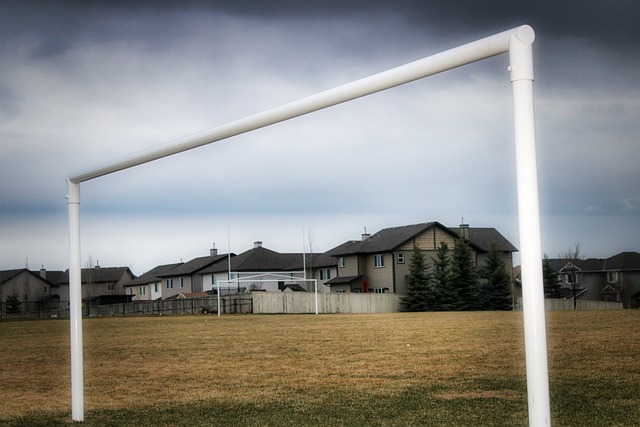 通过引进具 通过引进具