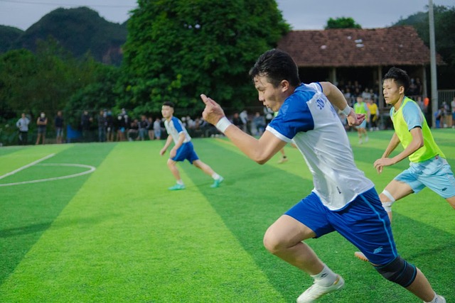 足体育领域 足体育领域