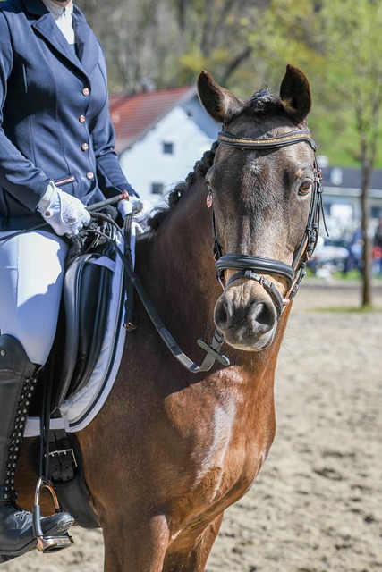 榜首选手 榜首选手
