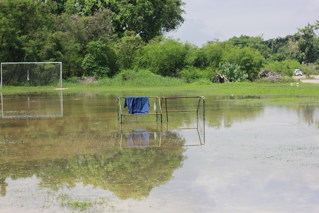 显得尤为重 显得尤为重