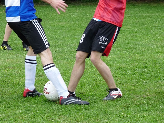 与供应商共 与供应商共