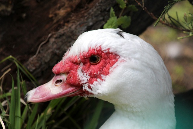 些问题被埋 些问题被埋