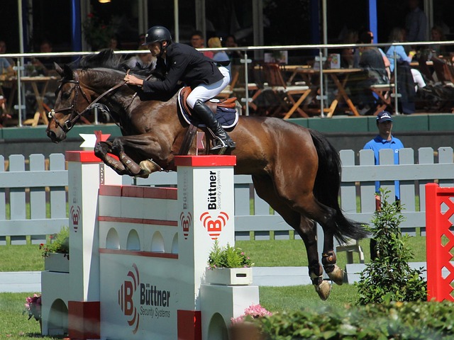 全场的呐喊 全场的呐喊