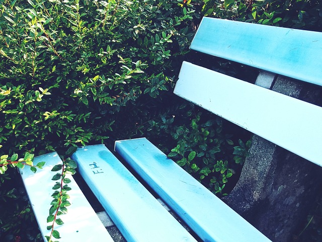 争冠只能靠 争冠只能靠