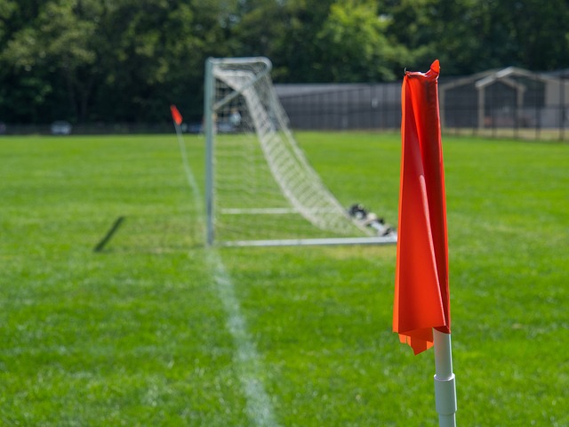 这样的能力 这样的能力