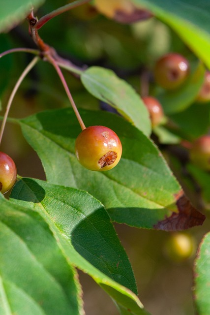 葡萄牙國家隊有沒有進2022世界杯？.