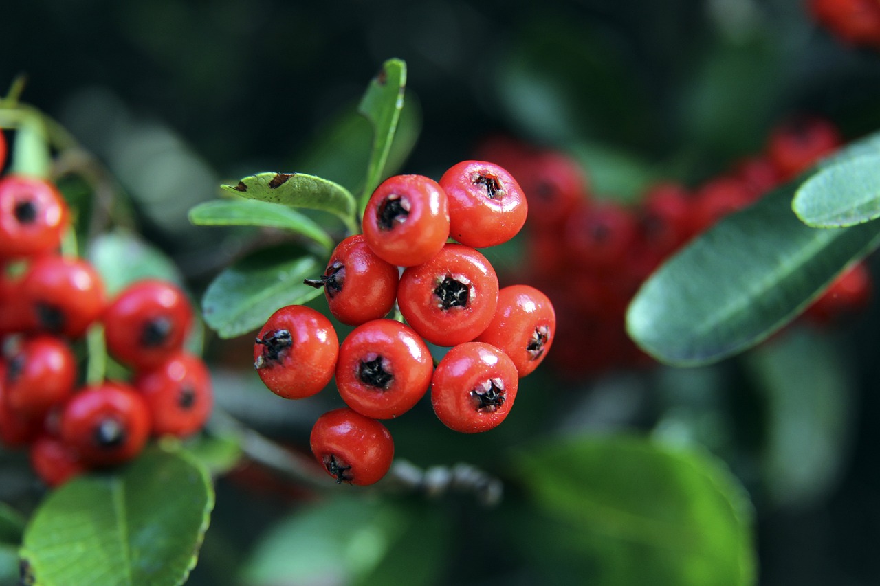 大火收汁！快船力克魔术，哈登赛季新高，西部第六仍有悬念.