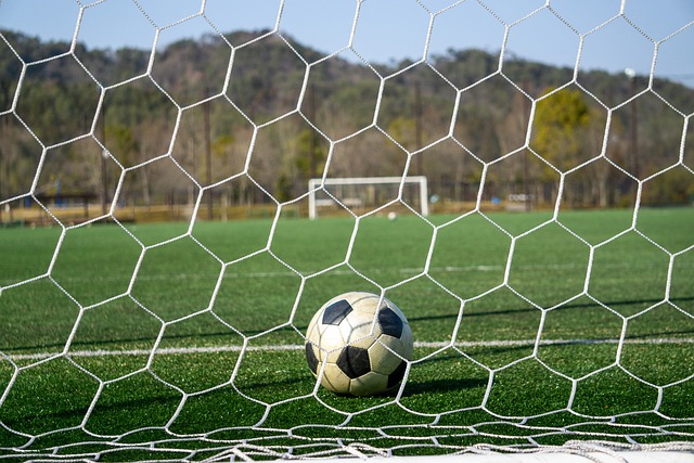 独行侠队替补球员贾登·哈迪的关键机会把握之道.