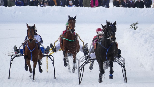 的专业水平 的专业水平