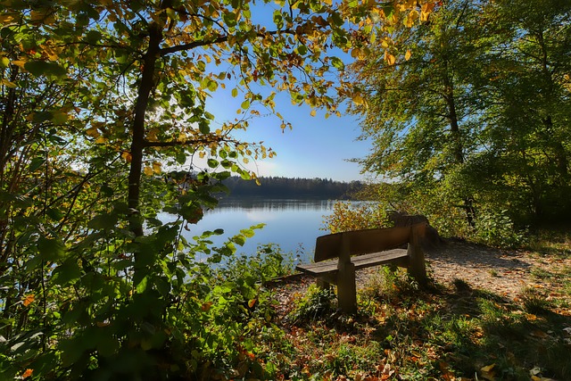 能分配的重 能分配的重