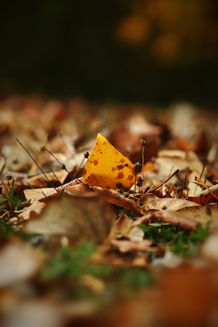 我们可以看 我们可以看