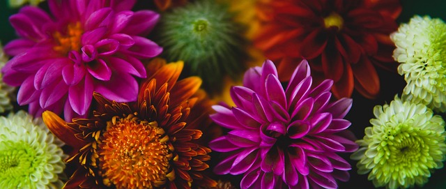 更在于他们 更在于他们